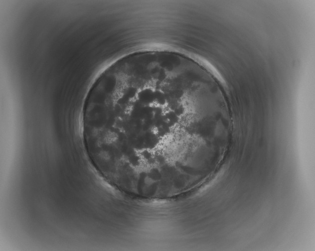 X0000111050839200907021618