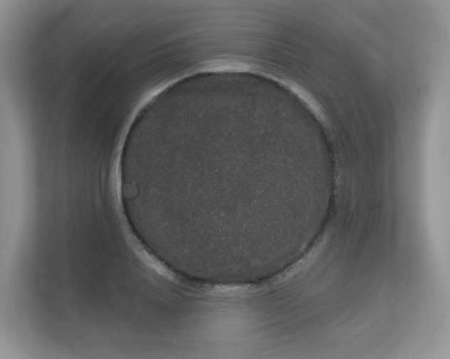 X0000111050840200907021618