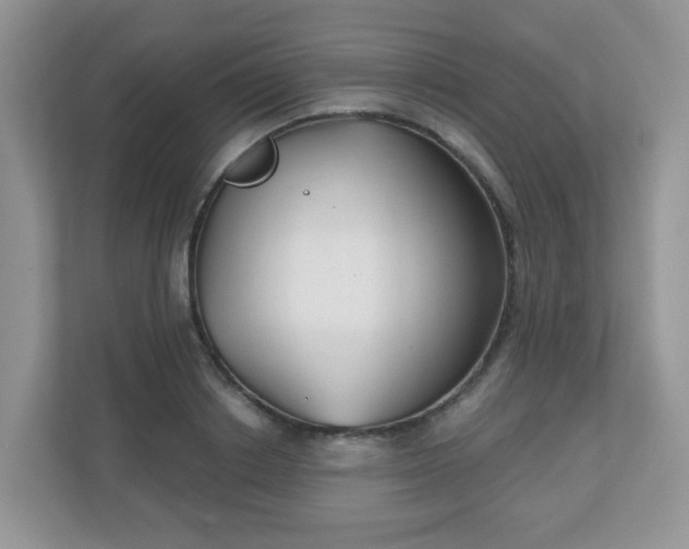 X0000111050842200907021618