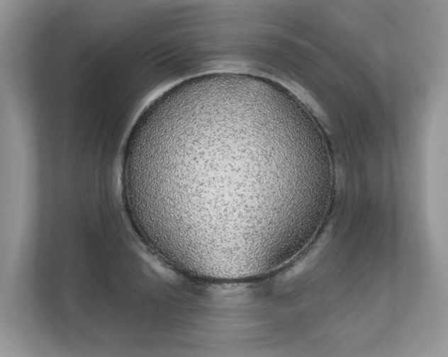 X0000111050846200907021618