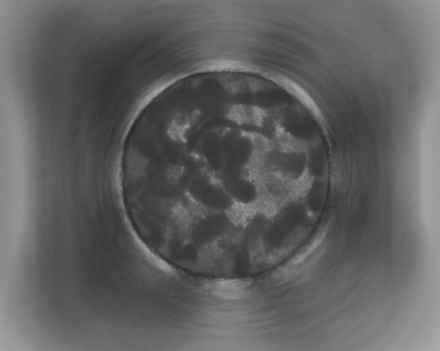 X0000111050847200907021618