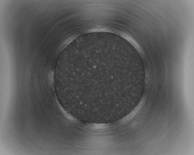 X0000111050849200907021618