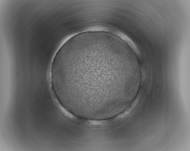 X0000111050852200907021618