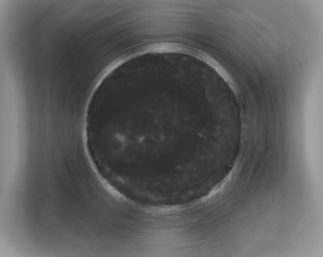 X0000111050853200907021618