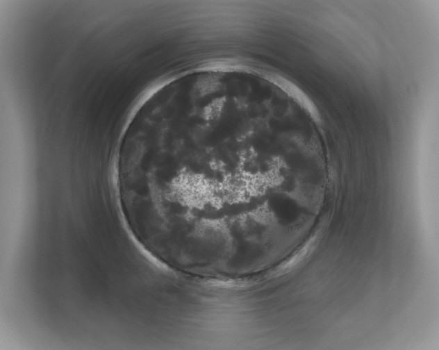 X0000111050855200907021618