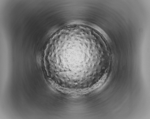 X0000111050857200907021618