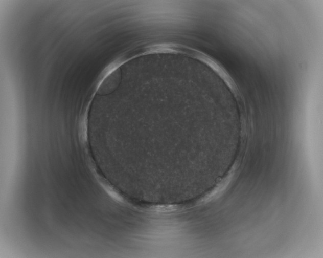 X0000111050858200907021618