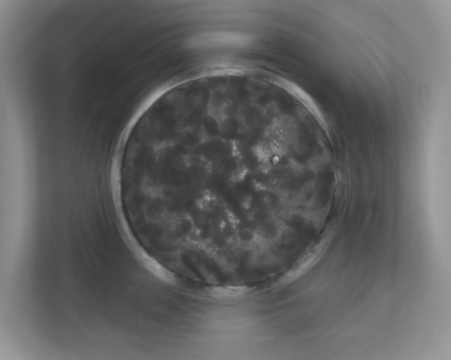 X0000111050859200907021618