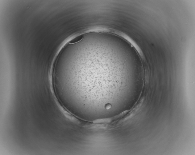 X0000111050861200907021618