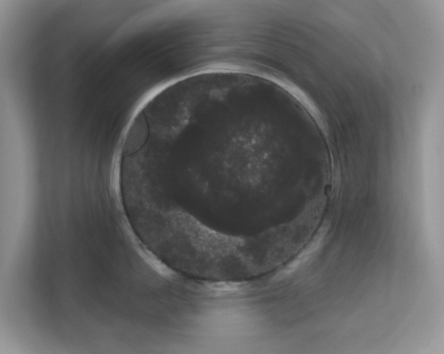 X0000111050862200907021618