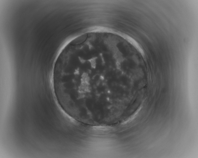 X0000111050863200907021618