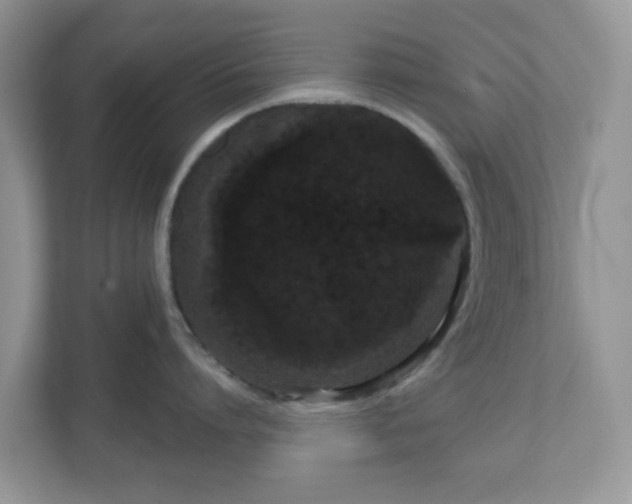 X0000111050864200907021618