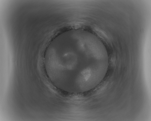 X0000111050865200907021617