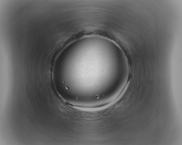 X0000111050868200907021617