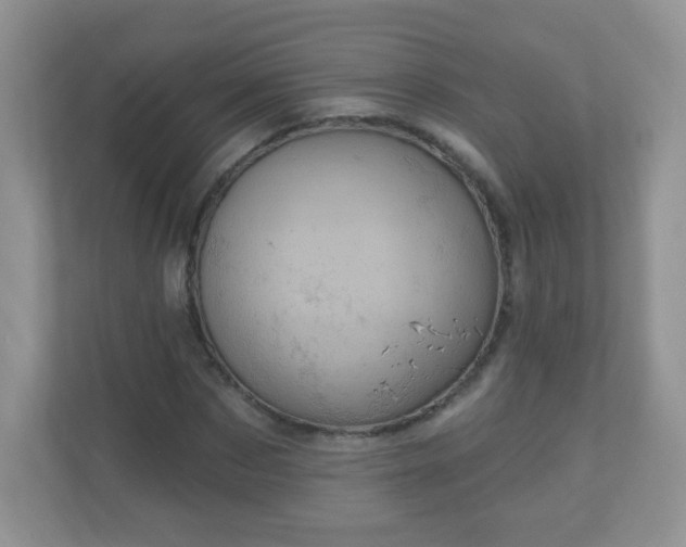 X0000111050873200907021617