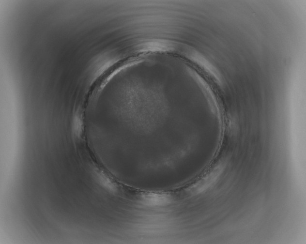 X0000111050874200907021617