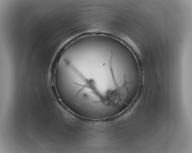 X0000111050876200907021617