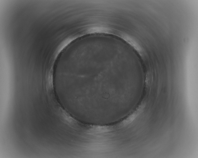 X0000111050877200907021617