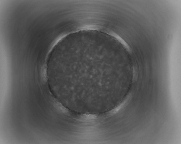 X0000111050878200907021617