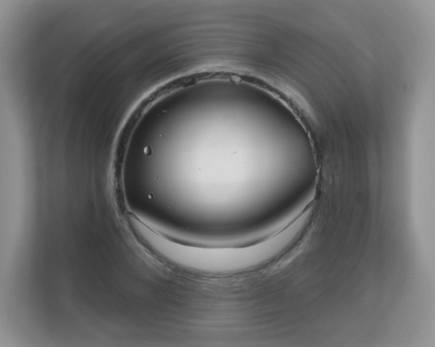 X0000111050880200907021617