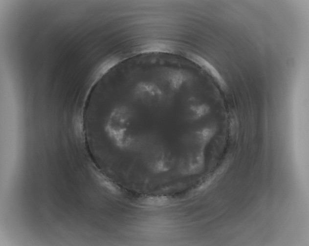 X0000111050882200907021617