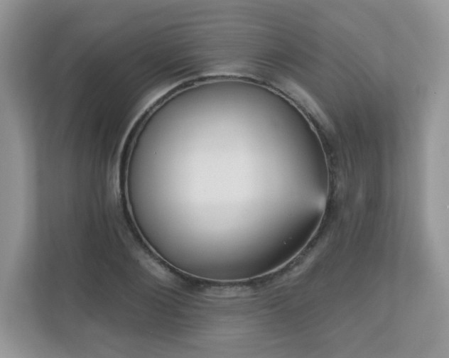 X0000111050884200907021617