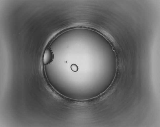 X0000111050888200907021617