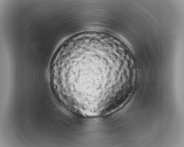 X0000111050891200907021617