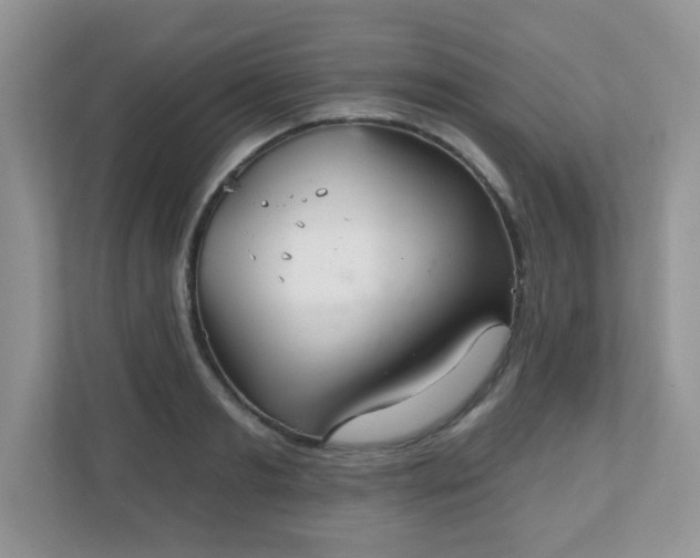 X0000111050893200907021617