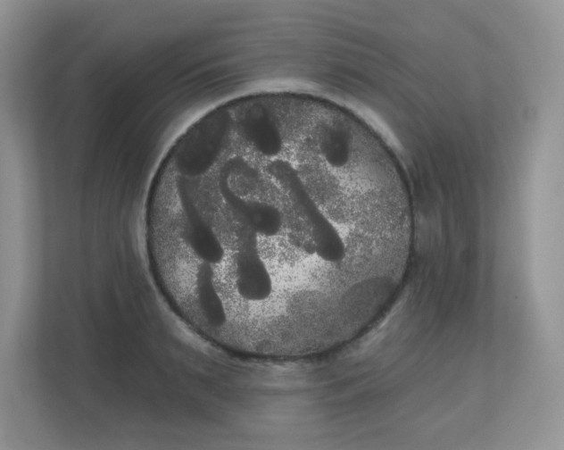 X0000111050895200907021617