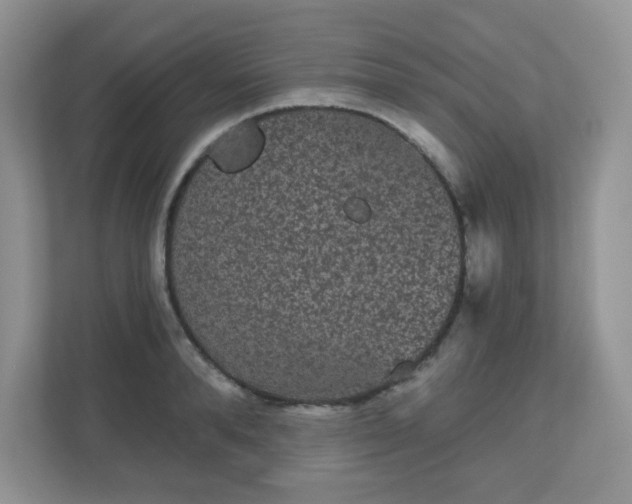 X0000111050896200907021617