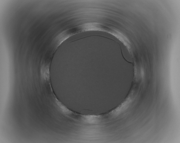 X0000111050897200907021617