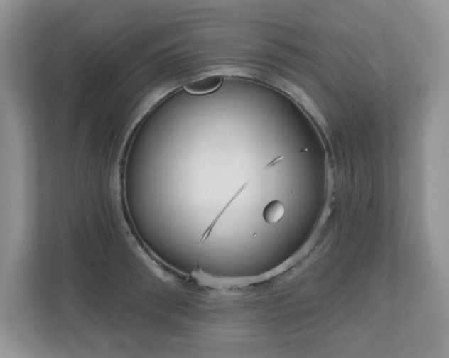 X0000111050898200907021617