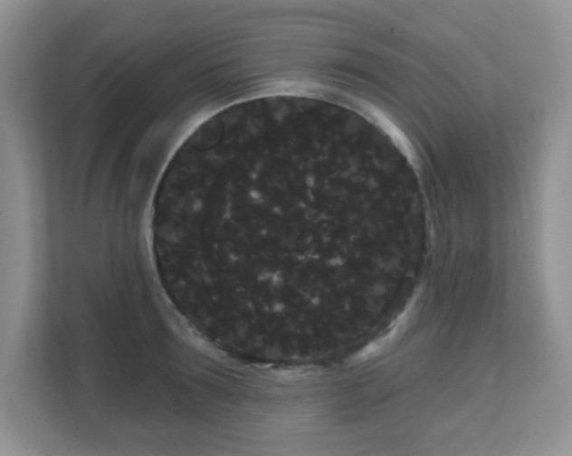 X0000111050899200907021617