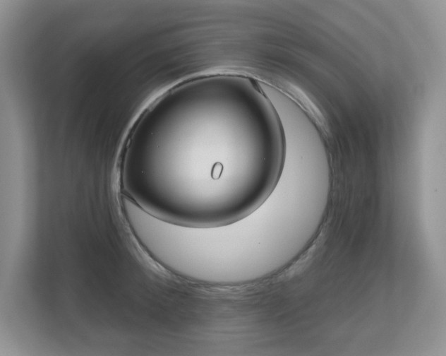 X0000111050900200907021617