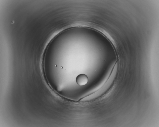 X0000111050901200907021617