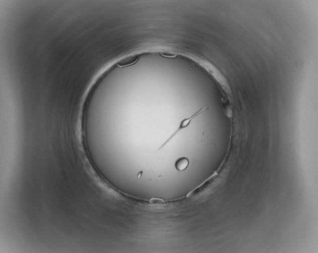 X0000111050904200907021617