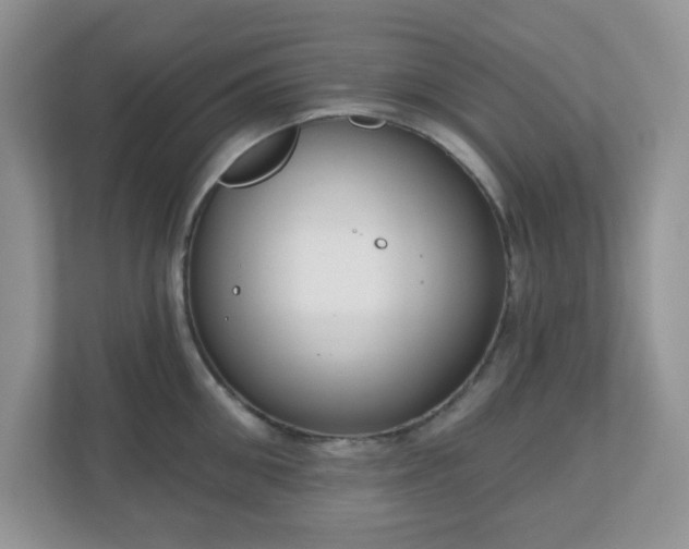 X0000111050906200907021617