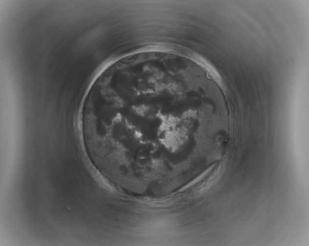 X0000111050907200907021617