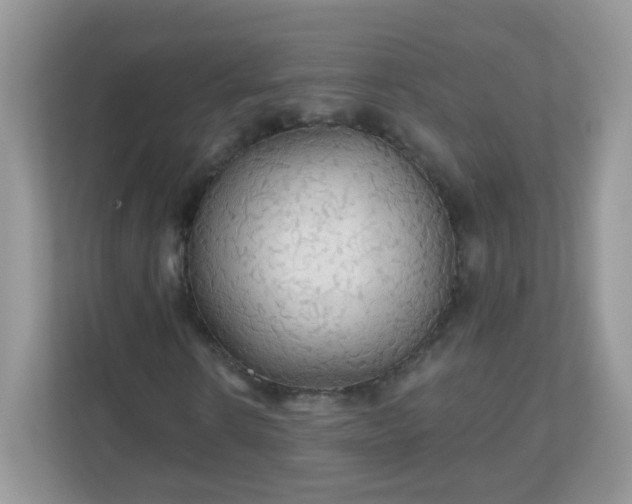 X0000111050914200907021616