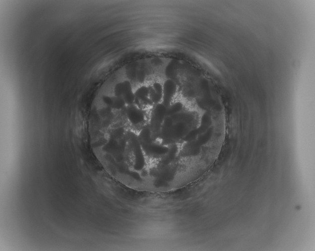 X0000111050917200907021616