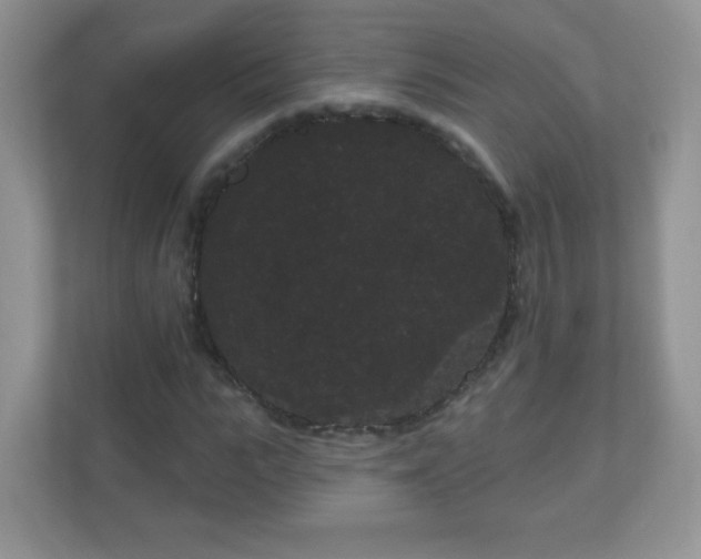 X0000111050919200907021616