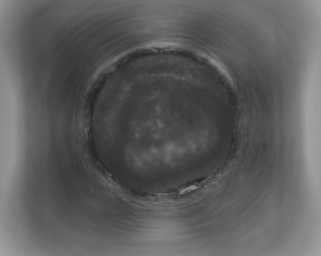 X0000111050920200907021616