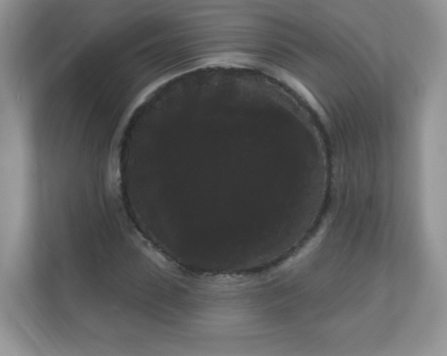 X0000111050923200907021616