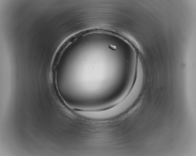 X0000111050924200907021616