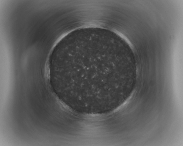 X0000111050925200907021616