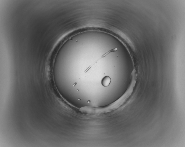 X0000111050926200907021616