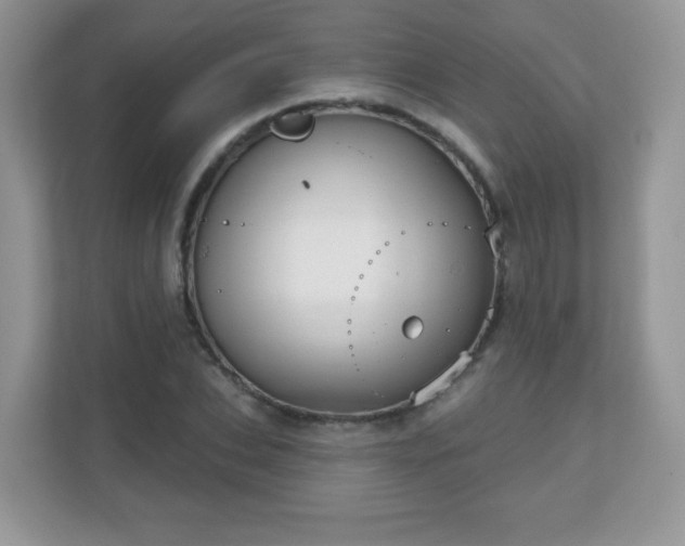 X0000111050927200907021616