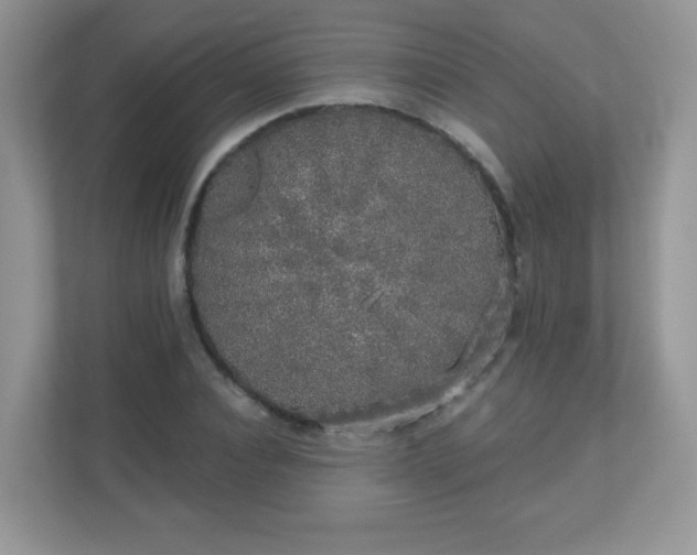 X0000111050928200907021616