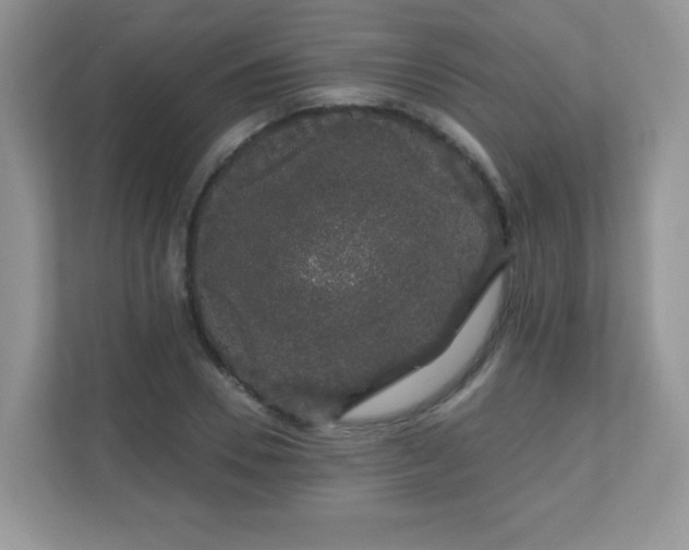 X0000111050930200907021616